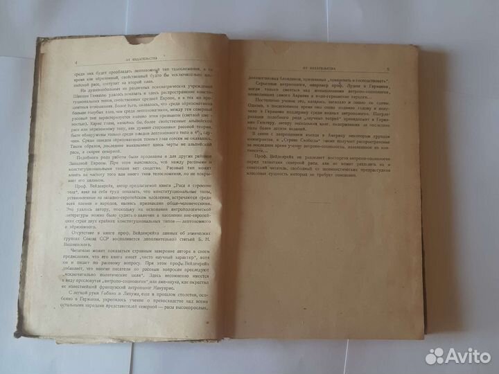 Раса и строение тела, Вейденрейх, 1929 год