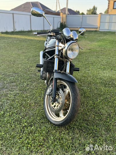 Suzuki bandit