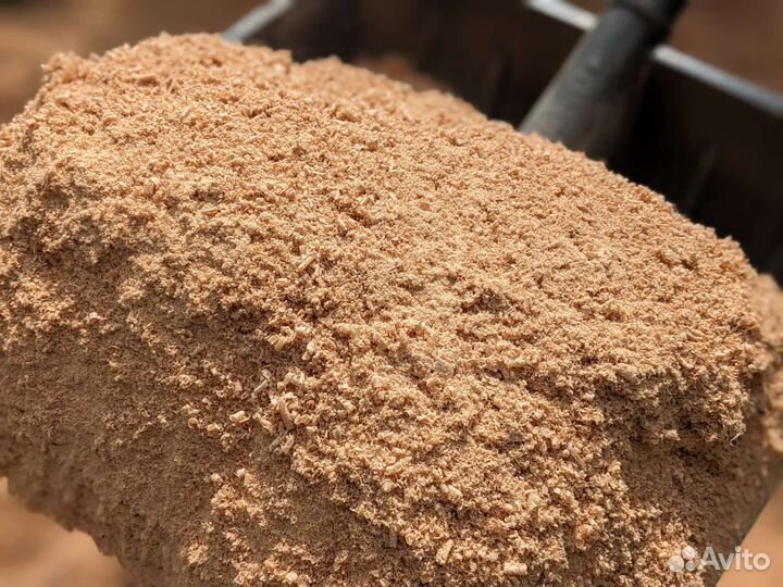 Буковые опилки, сухие. бесплатно