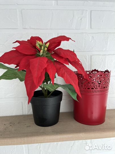 Фейка IKEA и кашпо