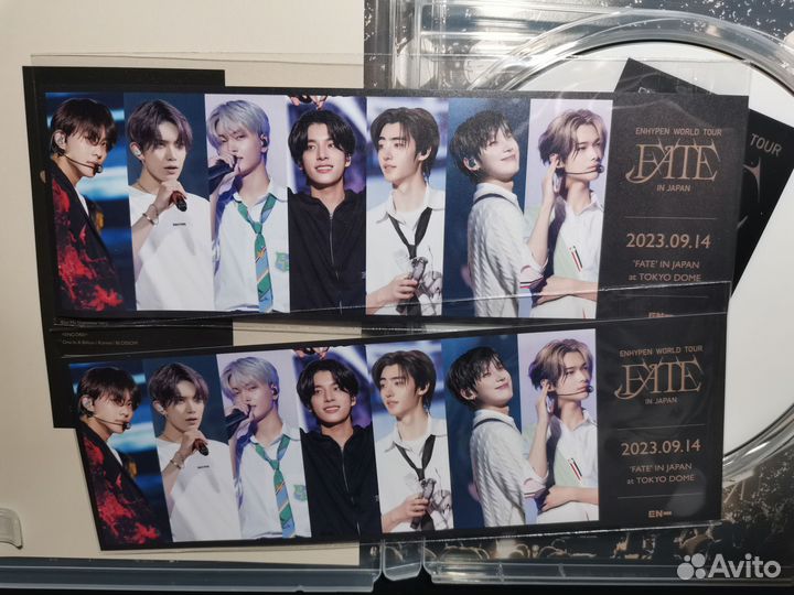 Enhypen fate in japan предзаказные тикеты к двд