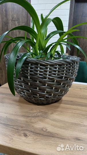 Кашпо из ротанга