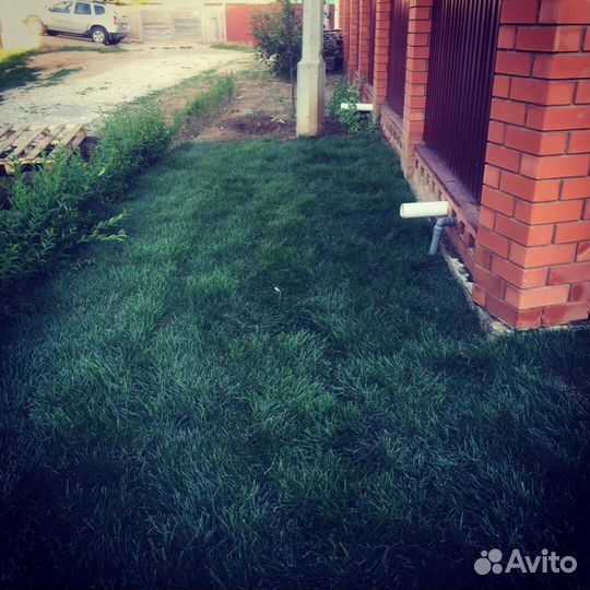 Свежая травка в наличии. Газон рулонный