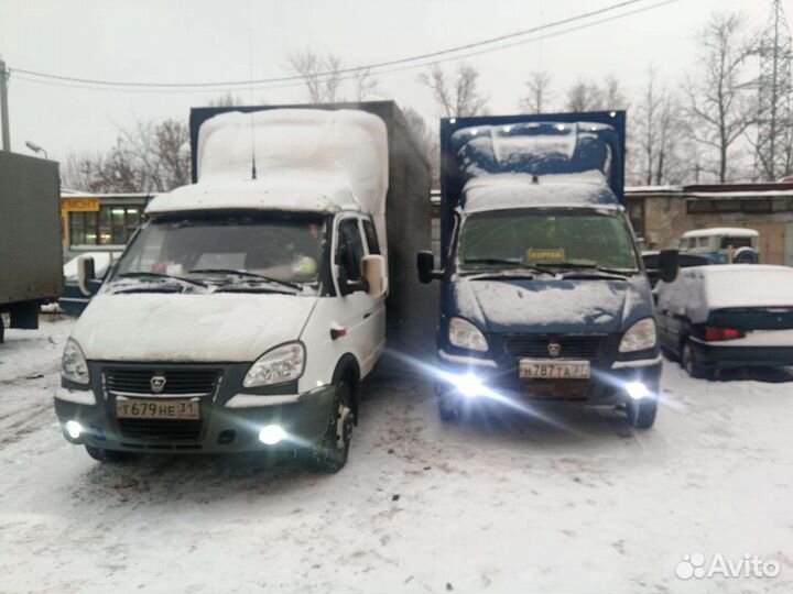 Попутный груз, Сборный груз, Белгород- РФ