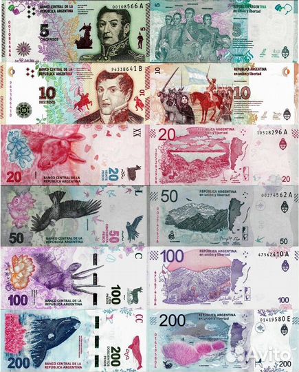 Аргентина Бразилия Венесуэла Гайана Перу Никарагуа