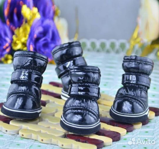 Обувь для собак