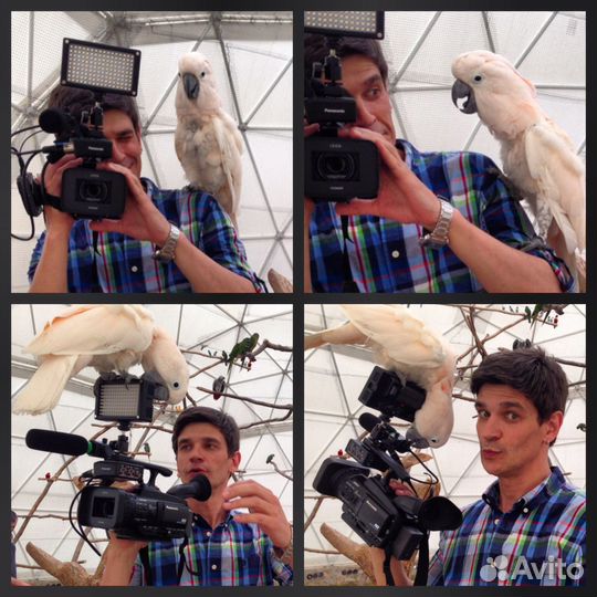 Услуги видеооператора