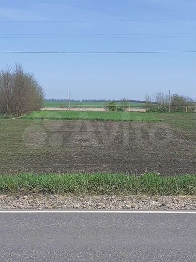 Участок 25 сот. (ИЖС)