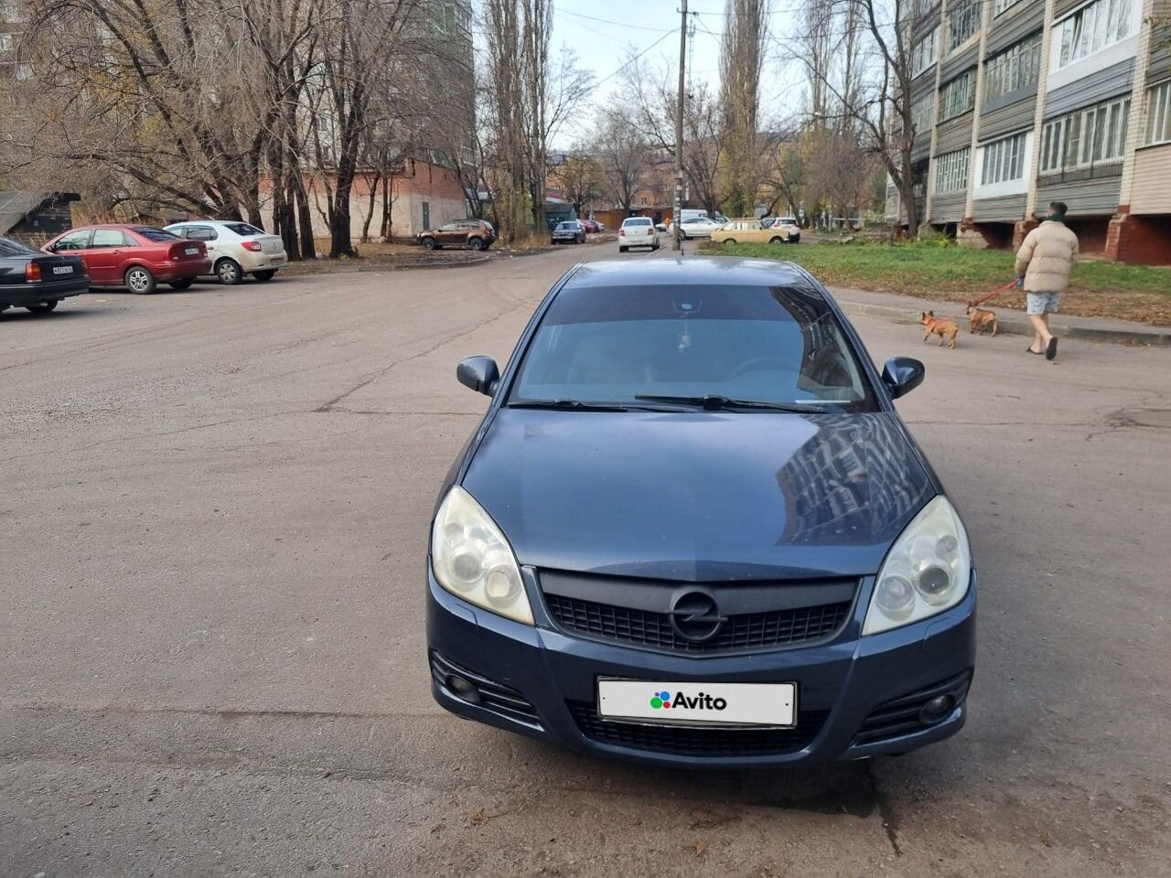 Opel Vectra: фото владельца