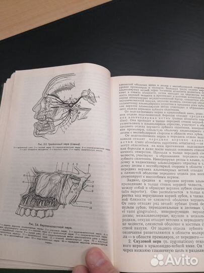 Хирургическая стоматология. Робустова Т. Г