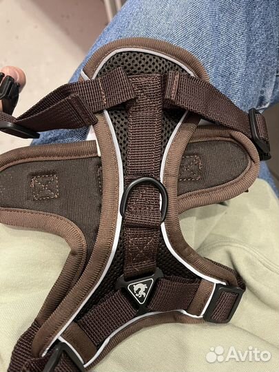Шлейка для собаки с поводком