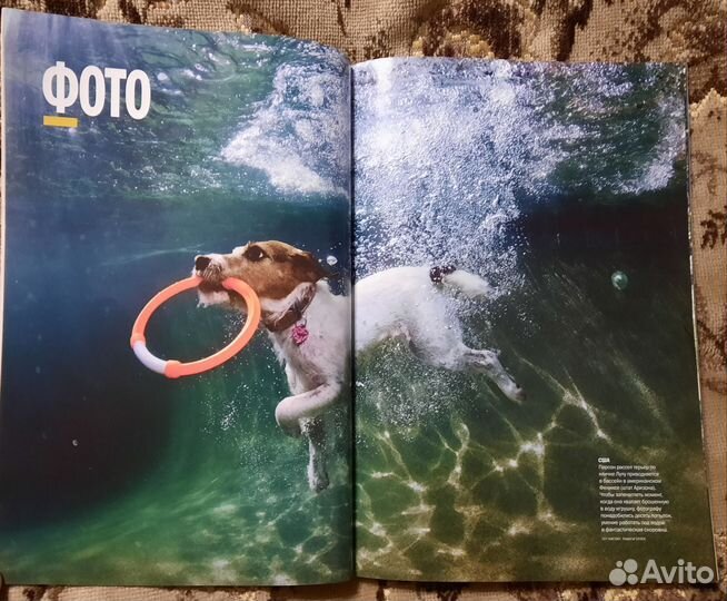 Журнал National Geographic август 2012