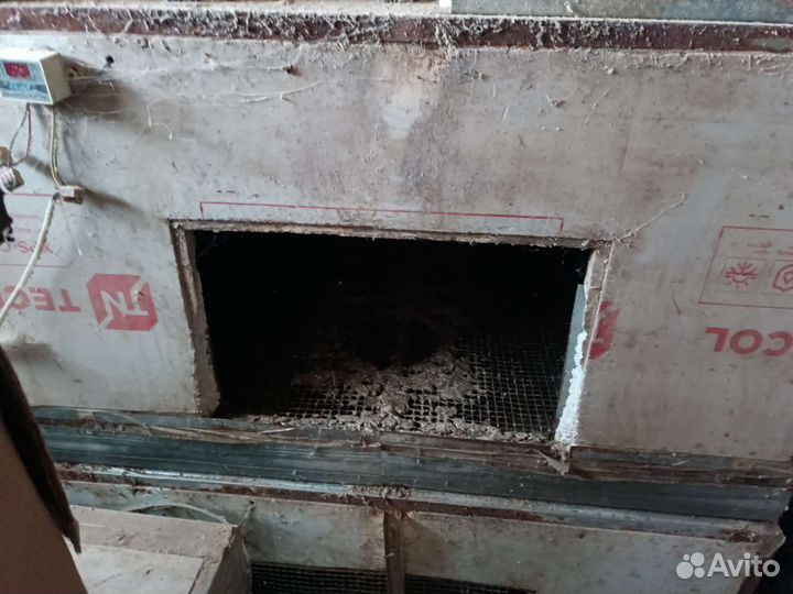 Оборудование для перепелов