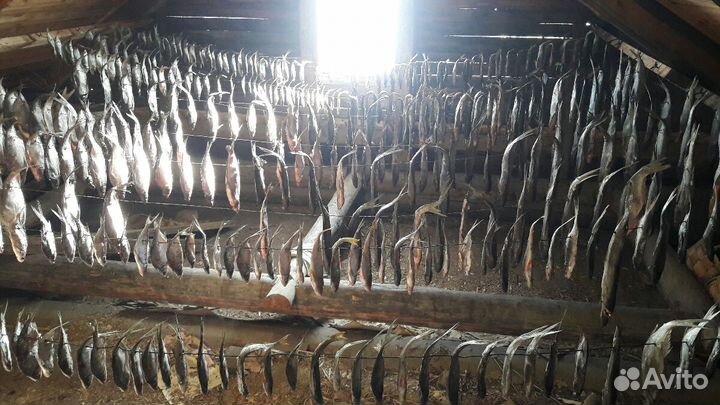 Вяленая рыба