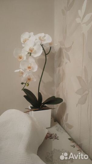 Цветы для красоты (ботаническая копия)