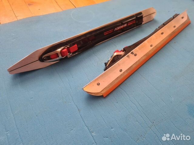 Байсы (коньки озерные)