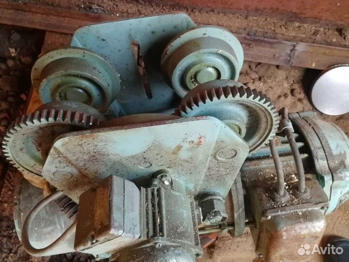 Тельфер болгарский