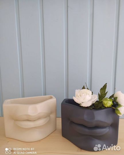 Кашпо органайзер губы Давида. Кашпо из гипса. Кашп