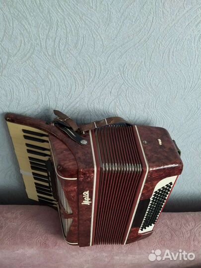 Аккордеон