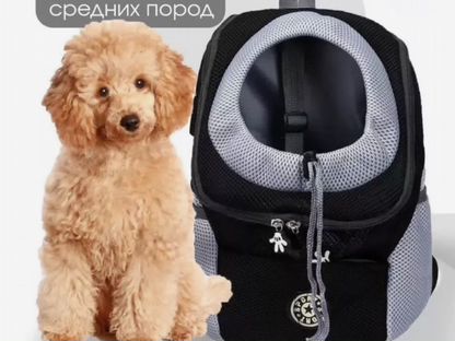Переноска для собак и кошек, Дружба