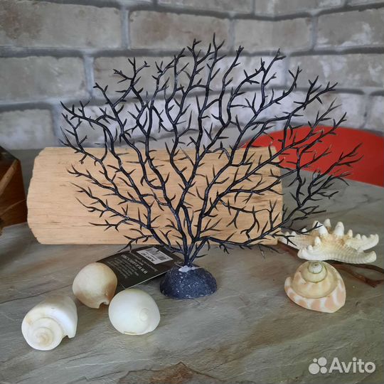 Горгонария для аквариума