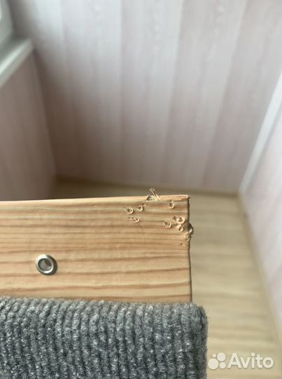 Когтеточка