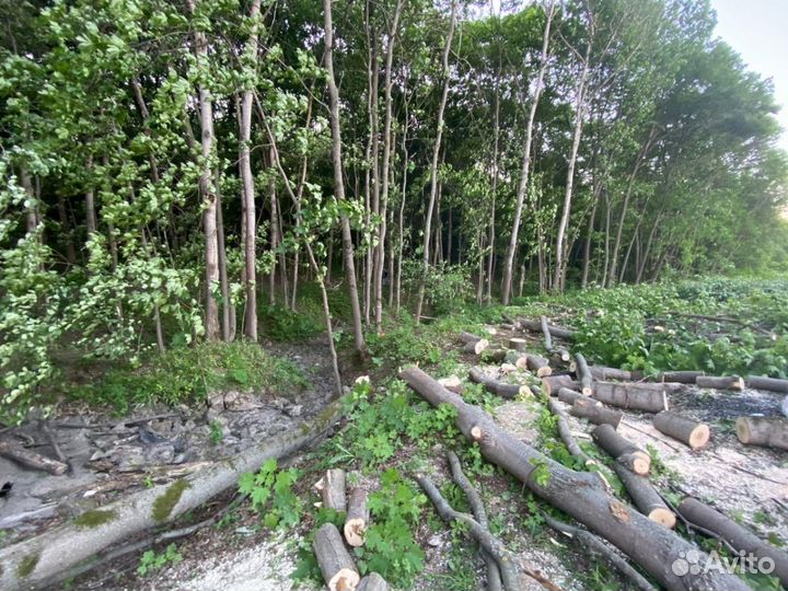 Дрова бесплатно самовывоз