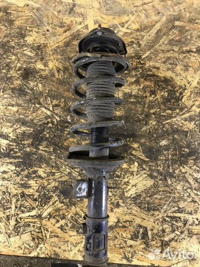 Амортизатор передний правый Hyundai Getz