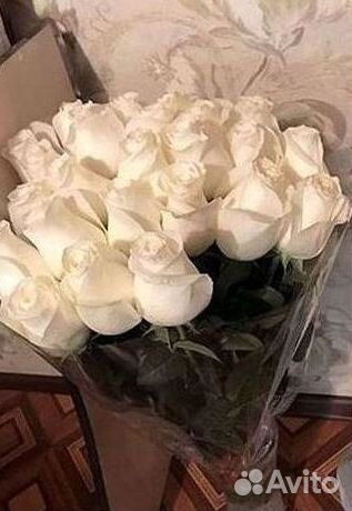 101 роза цветы букеты доставка 25 51 101 роза