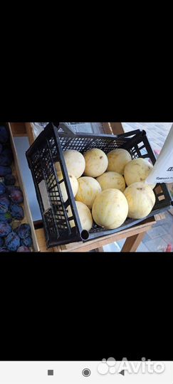 Ящик пластиковый для ягоды, ящик под клубнику