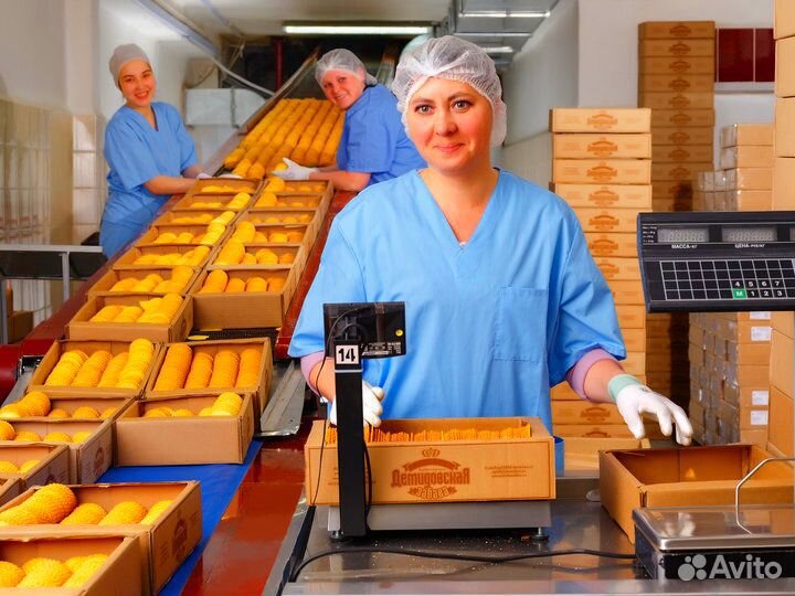 Упаковщик конфет сидя с питанием и проживанием