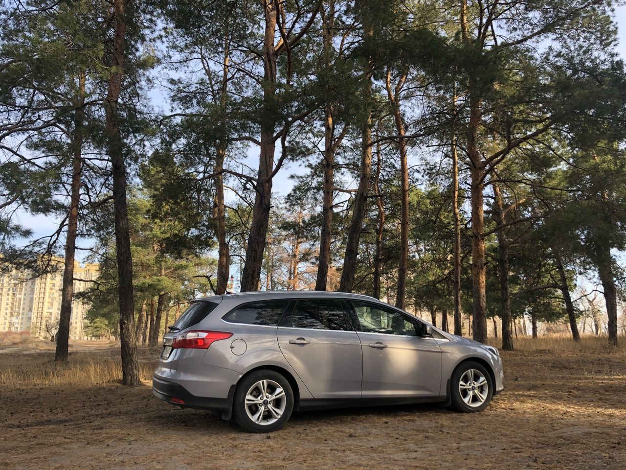 Ford Focus: фото владельца