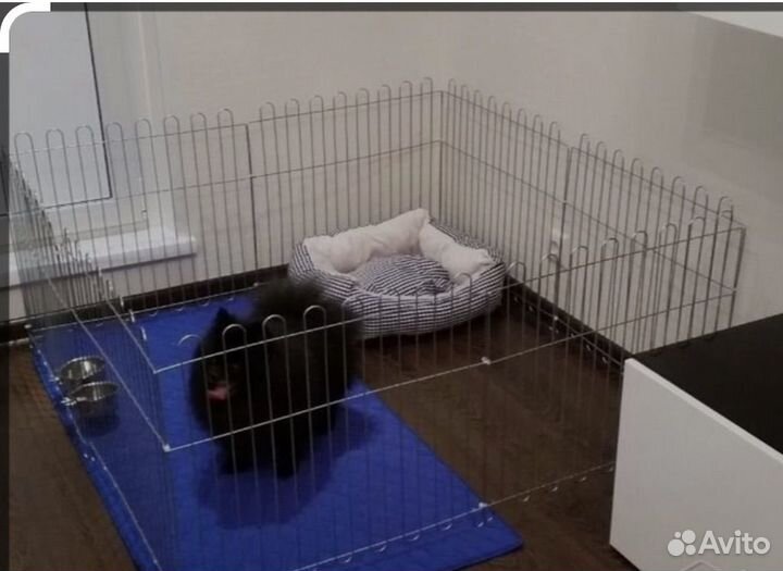 Вольер для собак новый