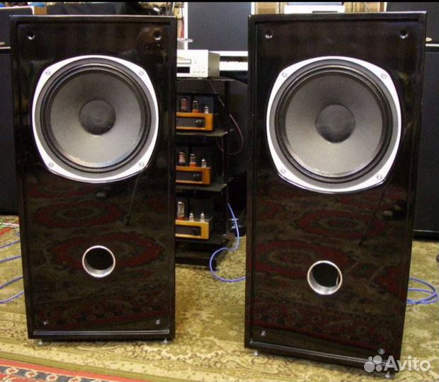 Tannoy SRM-15