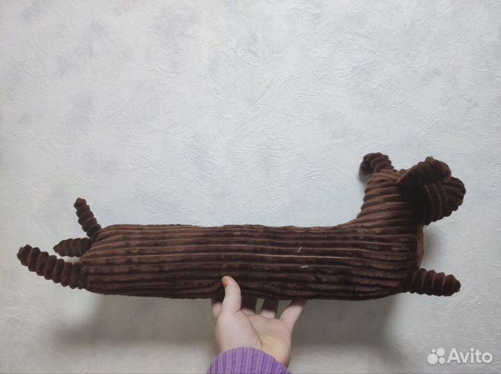 Тёмно-коричневая такса