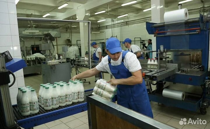 Подработка, Грузчики с ежедневной оплатой