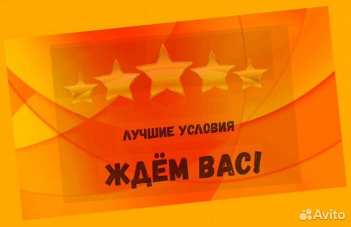 Наборщик заказов Без опыта Еженедельные выплаты