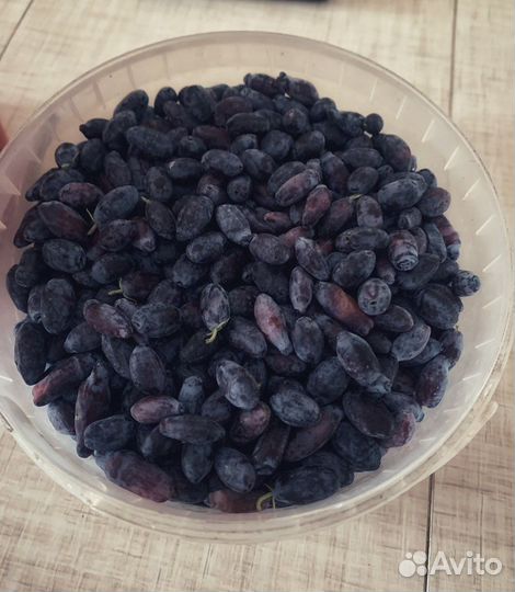 Жимолость ягоды