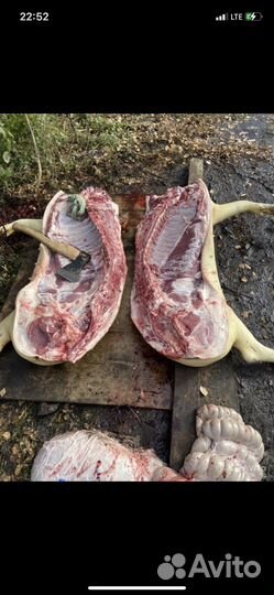 Домашнее мясо