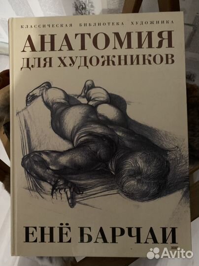 Книга анатомия для художников