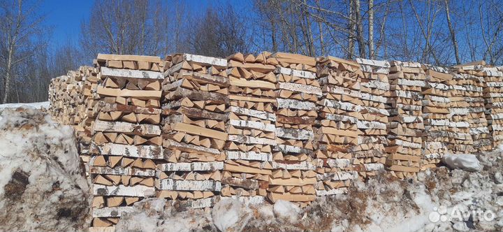 Дрова березовые