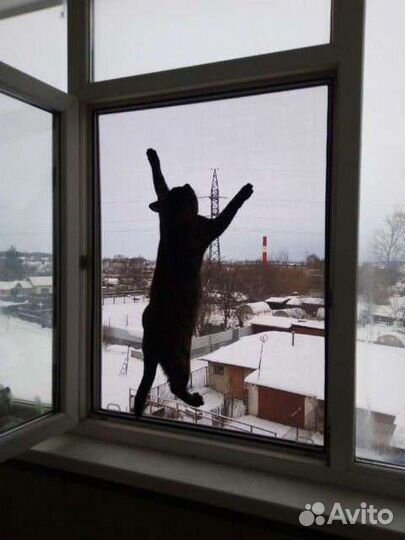 Москитная сетка антикошка.Ремонт окон и дверей