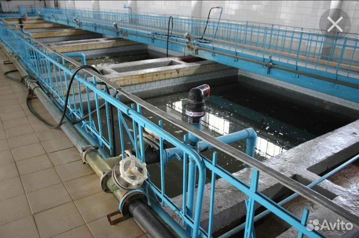 Помошник руководителя