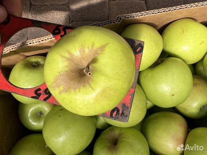 Джаногольд 75+