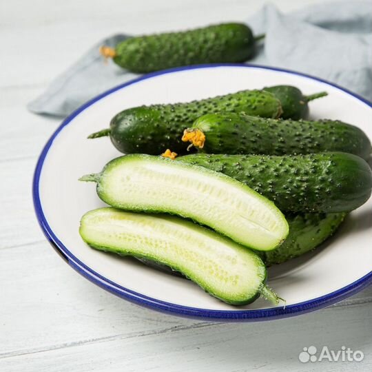 Хрустящие домашние огурцы прямиком с огорода