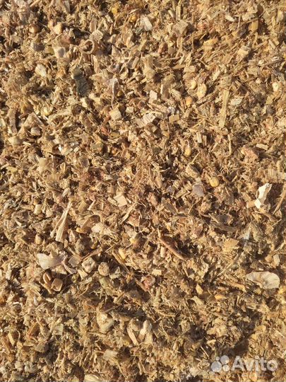 Корма для крс. Силос кукурузный