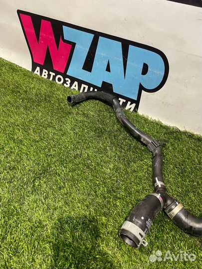 Патрубок охлаждения Ford Escape 4 CX482 2021