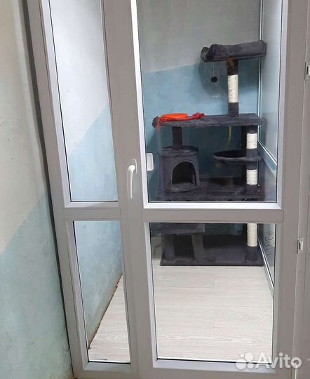 Передержка / Зоогостиница / Зооняня