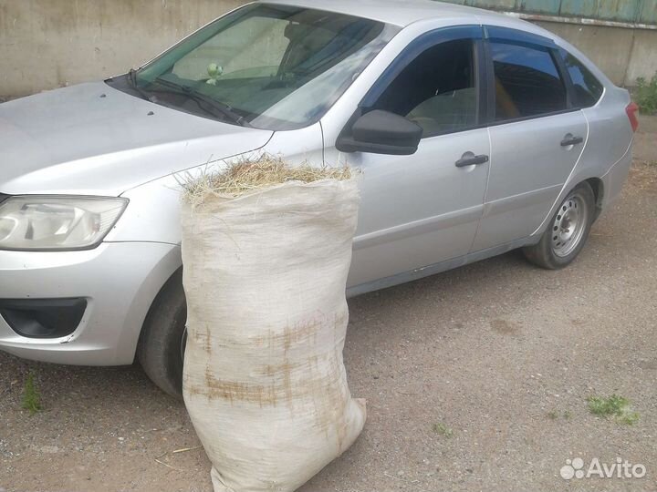 Сено в брикетах и в мешках