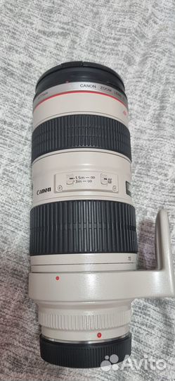 Canon ef 70 200mm f 2.8l usm